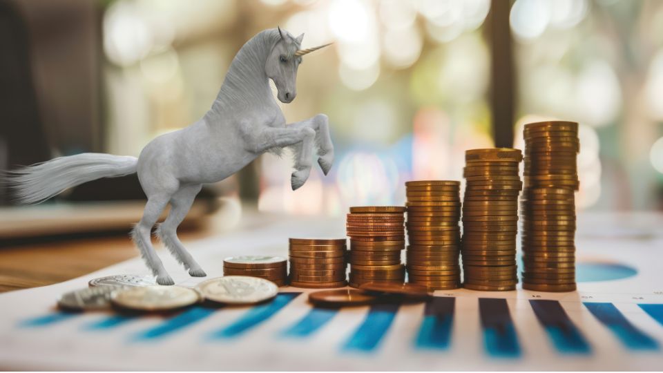 what are unicorn companies, unicorn company examples, characteristics of unicorn startups