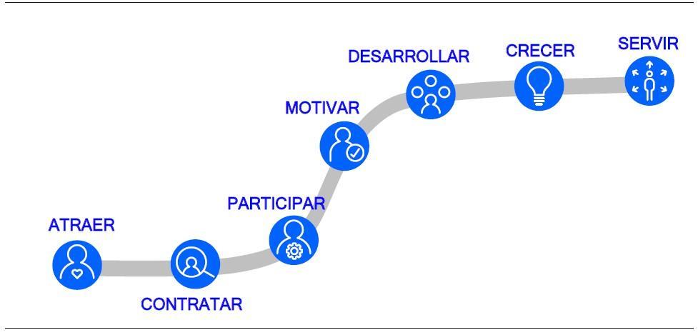 Ciclo vida del talento