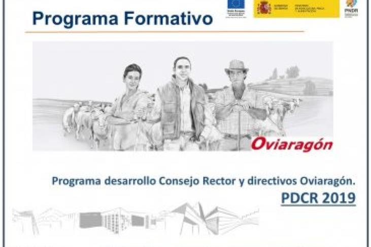 Programa desarrollo Consejo Rector y directivos OVIARAGÓN