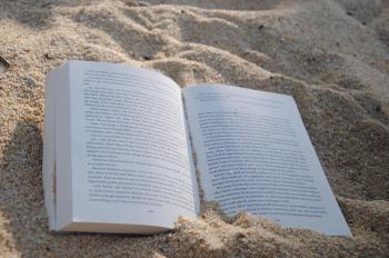 Summer reading. Image by Michael Bußmann from Pixabay