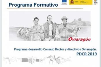 Programa desarrollo Consejo Rector y directivos OVIARAGÓN