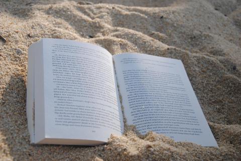 Summer reading. Image by Michael Bußmann from Pixabay